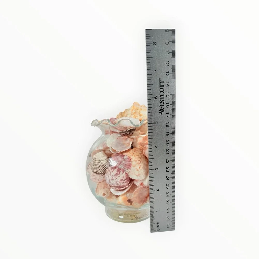 Sea Shell‎ Mix Coastal Beach Decor 5
